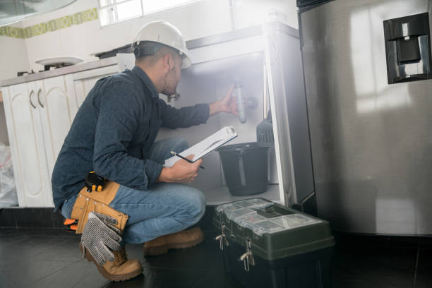 Best Affordable Plumber Near Me  in Deer Park, IL
