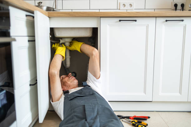 Best Water Leak Repair  in Deer Park, IL